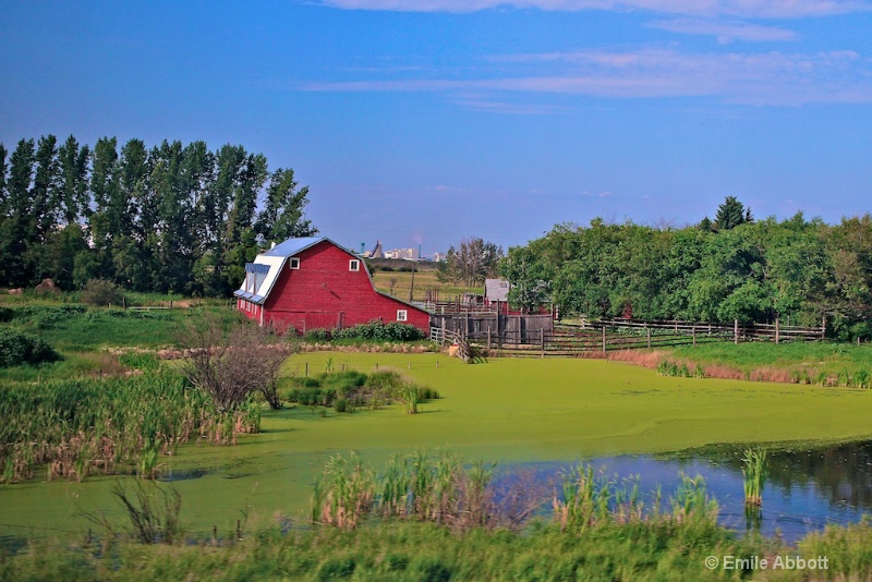 Rural Saskatchewan