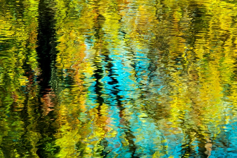 Early Ohio Fall pond reflection