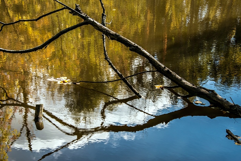 Tiny ripples...