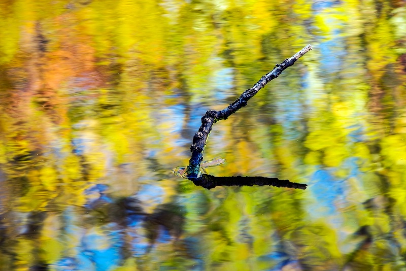 Blended Fall colors