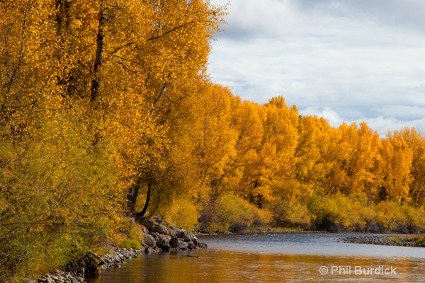 gunnison river 2