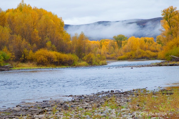 gunnison river