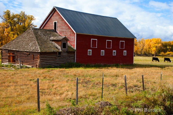 the barn