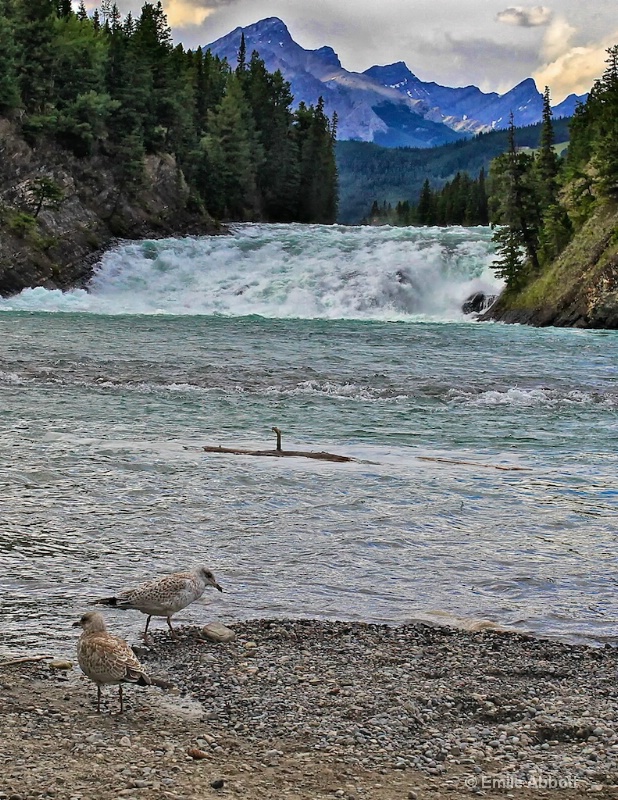 Bow River Falls