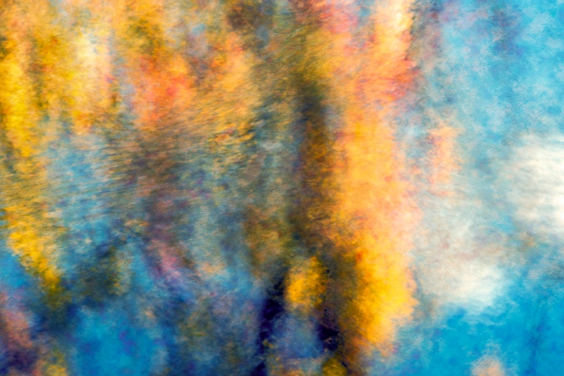 Fall pond reflection