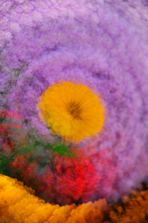 Hurricane’s  Eye