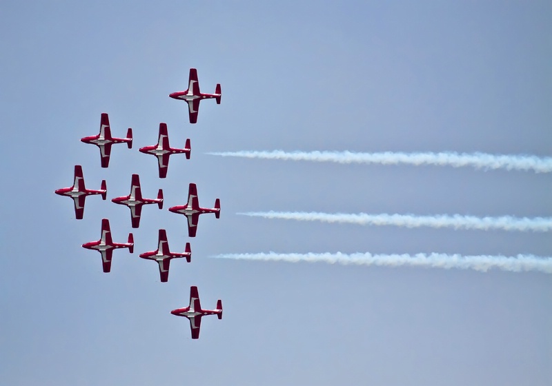 Snowbirds