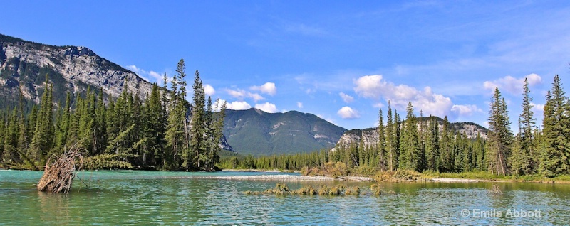 Bow River and Sulfur Mountain