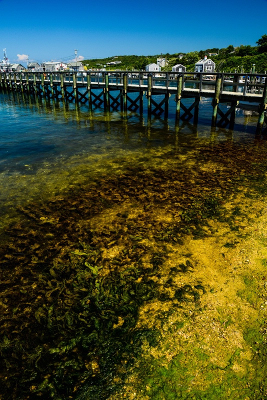 Menemsha Pier