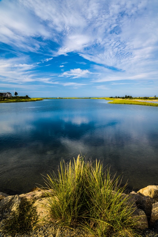 Peaceful Reflection