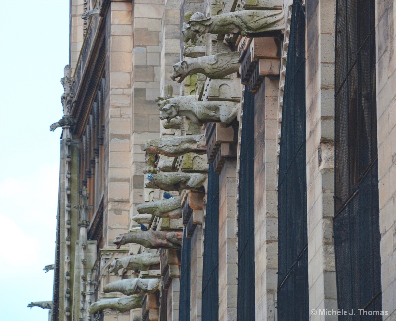 Gargoyles in Distress, Notre Dame Cathedral !
