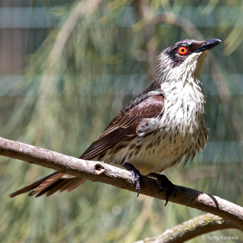 after bath