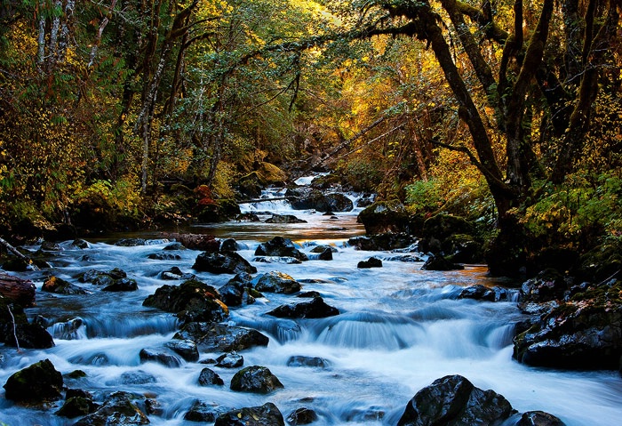 Fall on the River