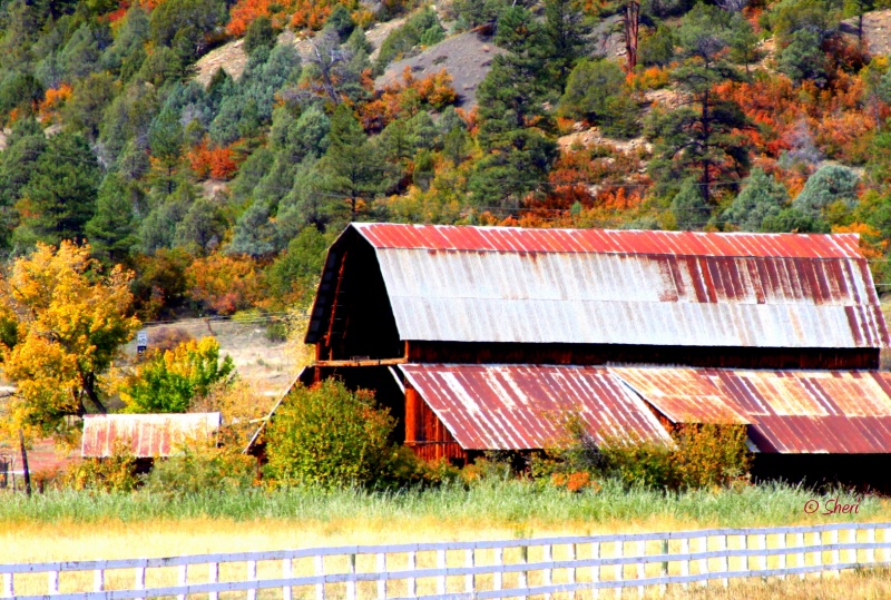 Desert Color