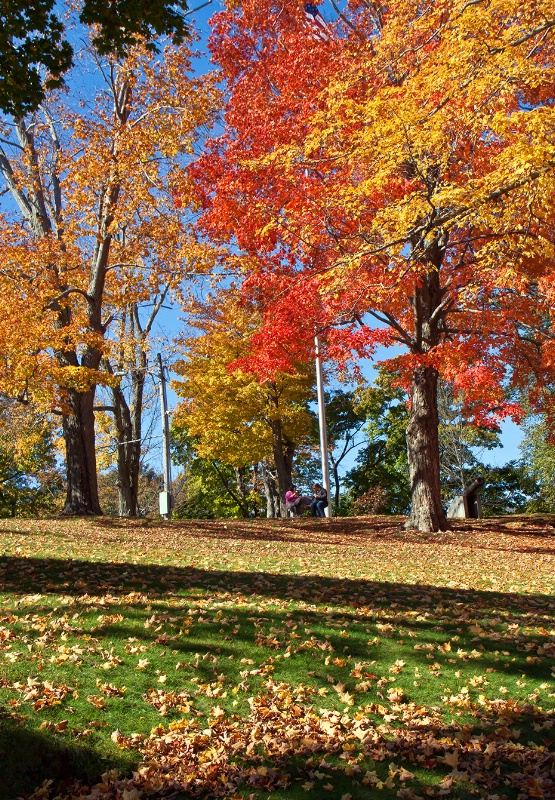 Library Park