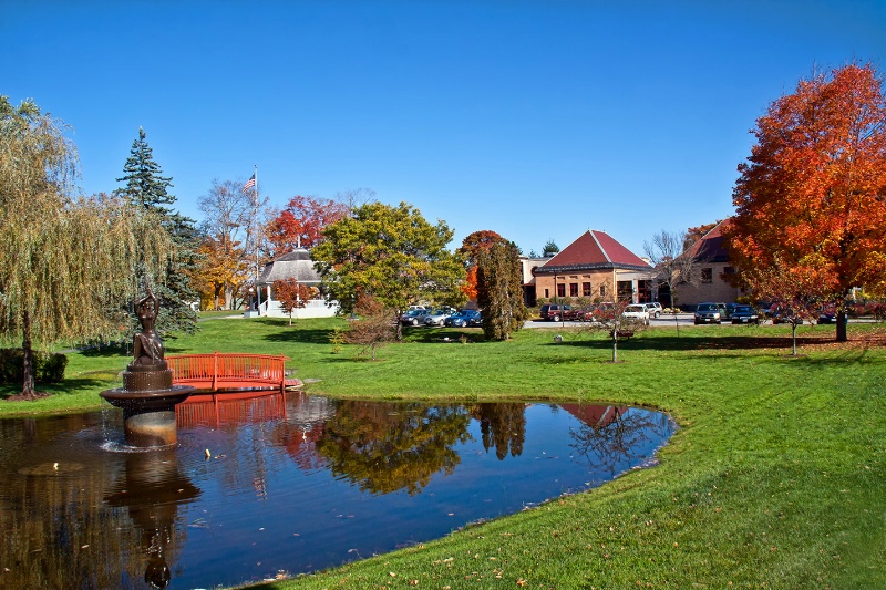 Library Park