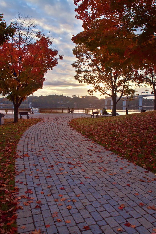 Waterfront Park