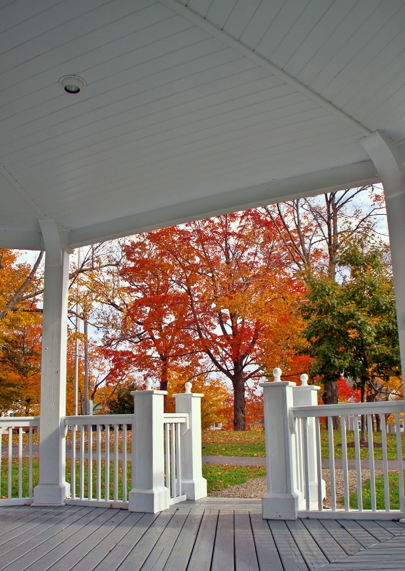 Library Park