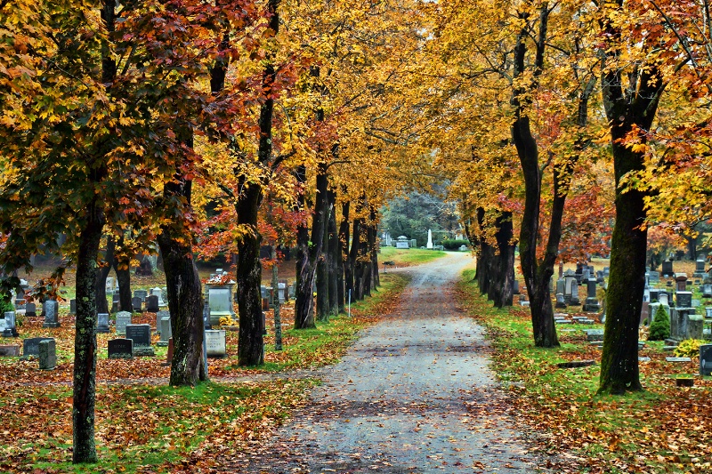 Oak Grove Cemetery