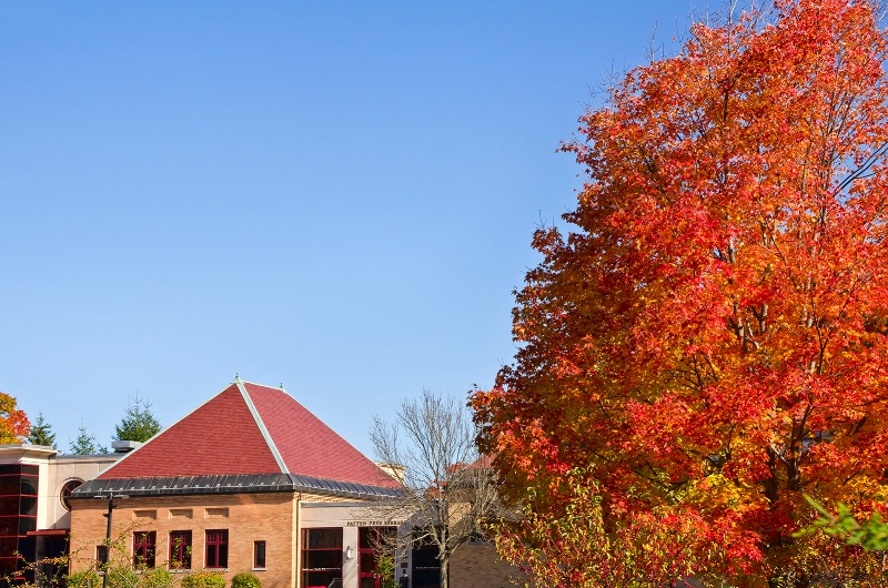 Library Park