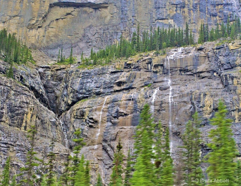 Weeping Wall of Icefields Parkway