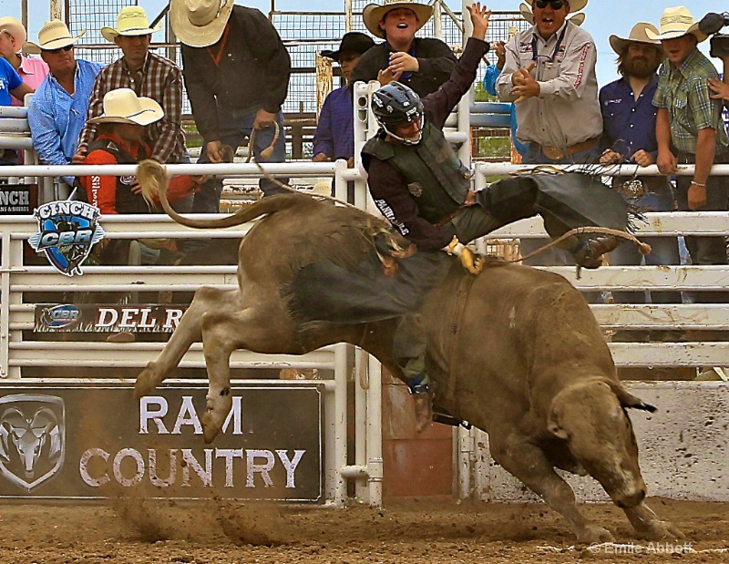 Cole Echols on Max Energy Curly Bob