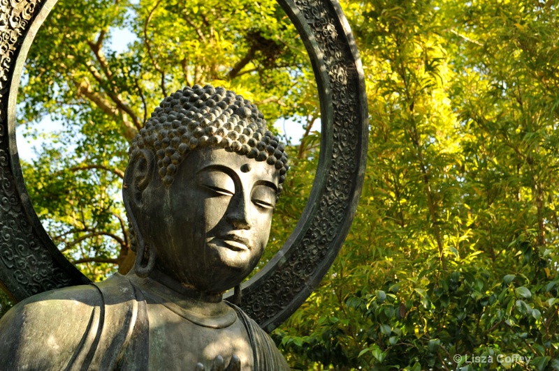 Zen moments