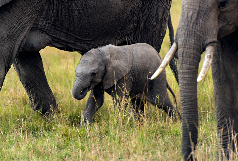 Hanging around Mom...