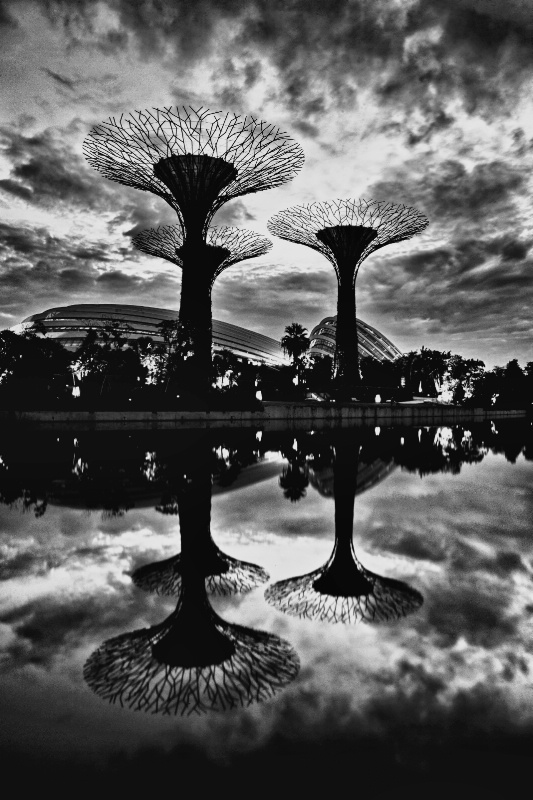 Gardens by the Bay in B&W HDR 