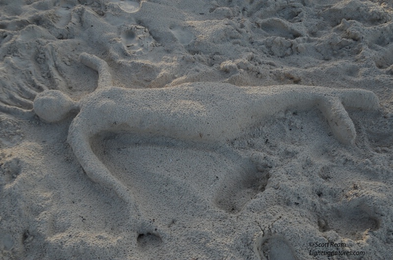 punta cana sand mermaid
