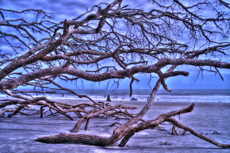 fripp island 4