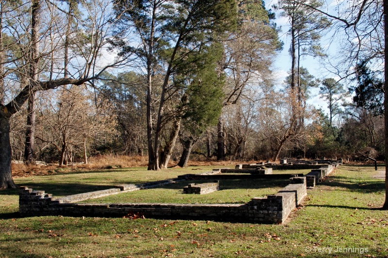 New Towne Ruins
