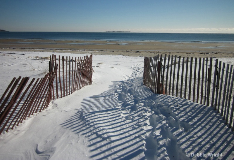 Path to the beach