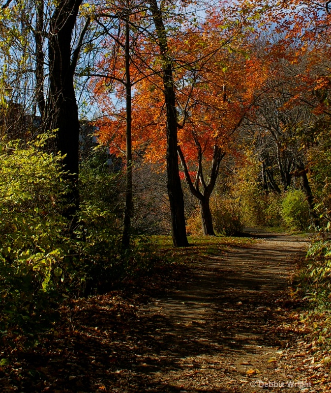 Fall colors