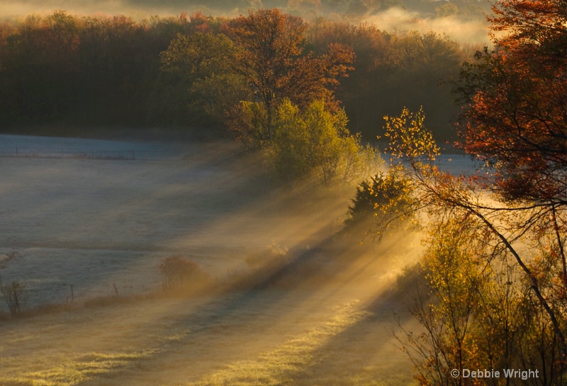 Frosty Morning