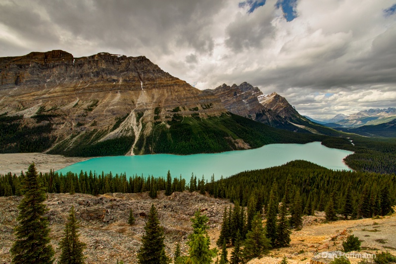 peyto lake