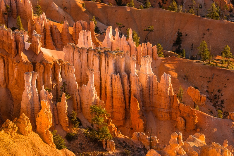 8002085 Bryce Canyon Hoodoos