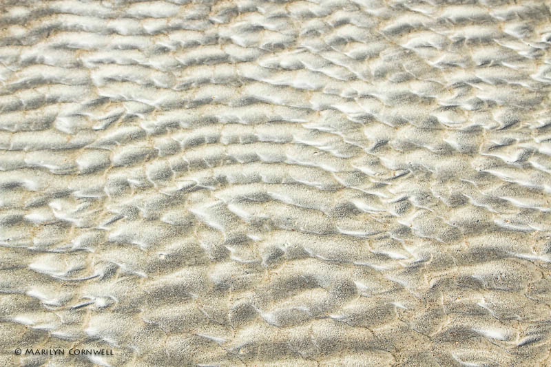 Shore Patterns