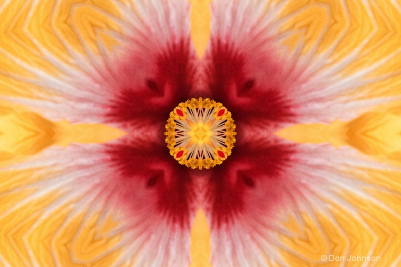 Hybiscus Close-Up--Kaleidoscope