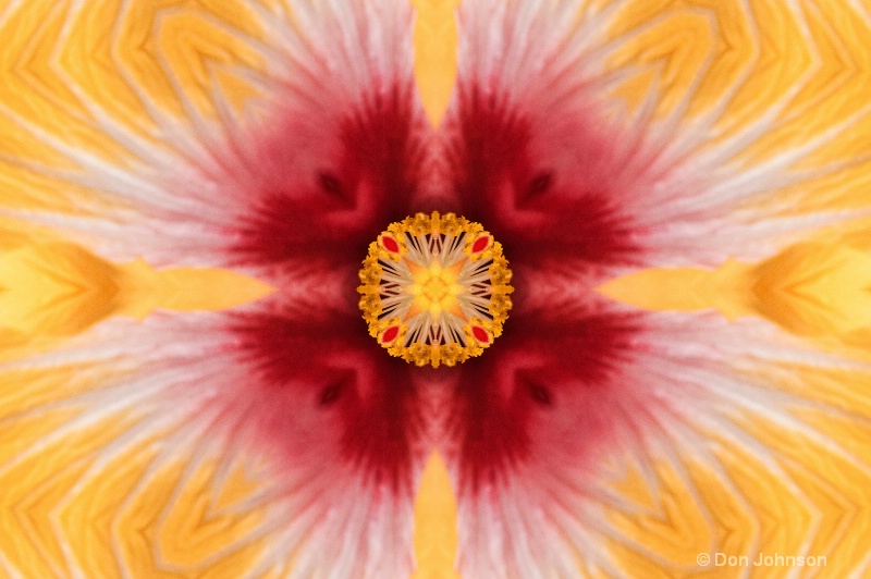 Hybiscus Close-Up--Kaleidoscope