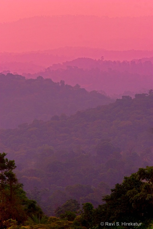 Western Ghats at dawn