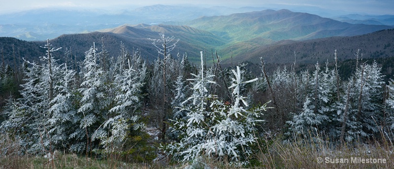 Clingmans Dome Rime Ice Pan1