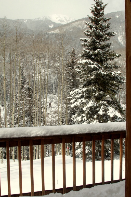 Snow Day!