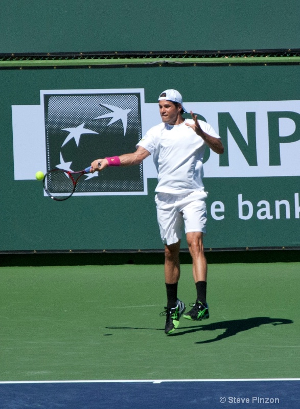 tommyhaas forehand