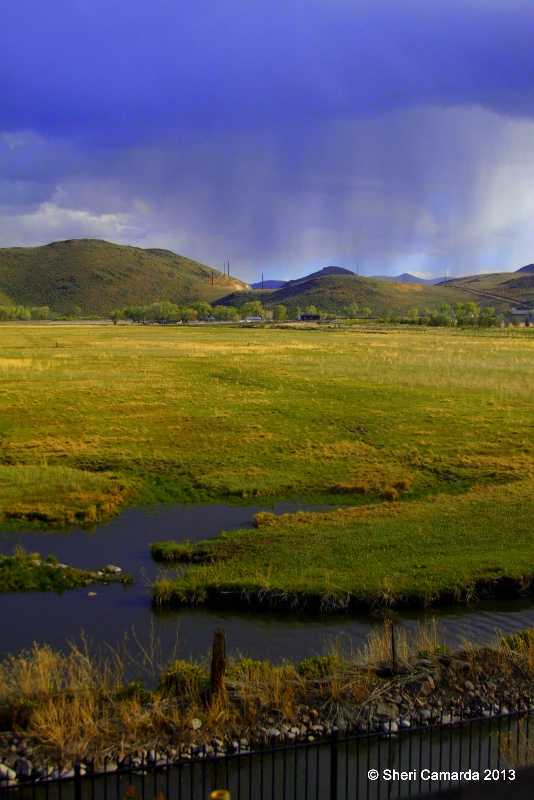 Spring Rain