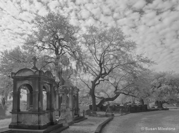 Magnolia Cemetery IR 8658