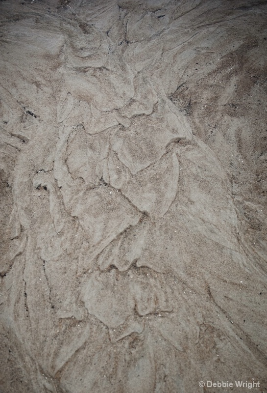 Patterns in the Sand