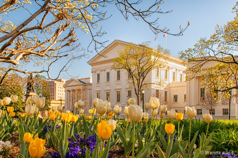 Virginia State Capitol in Spring ... II