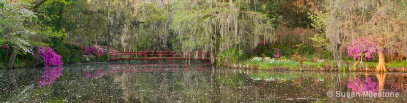 Red Bridge 13 Pan 2, Magnolia Plantation