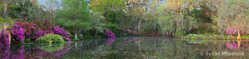 Red Bridge 13 Pan 2_3, Magnolia Plantation